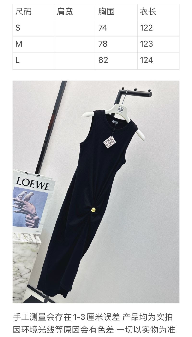 Loewe Dress